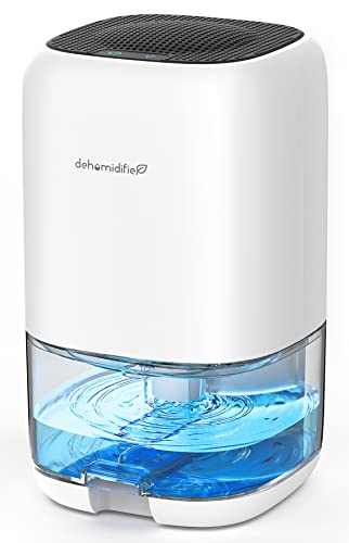 Best Household Dehumidifiers